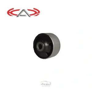 بوش طبق آریزو 5