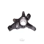 سگدست آریزو 5